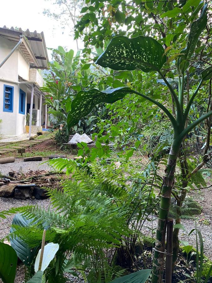 Casa Dos Ventos - Refugio, Sustentabilidade, Conexao Ubatuba Kültér fotó